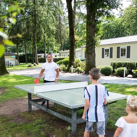 Well-kept With Microwave, In A In The Middle Of De Veluwe Chalet *